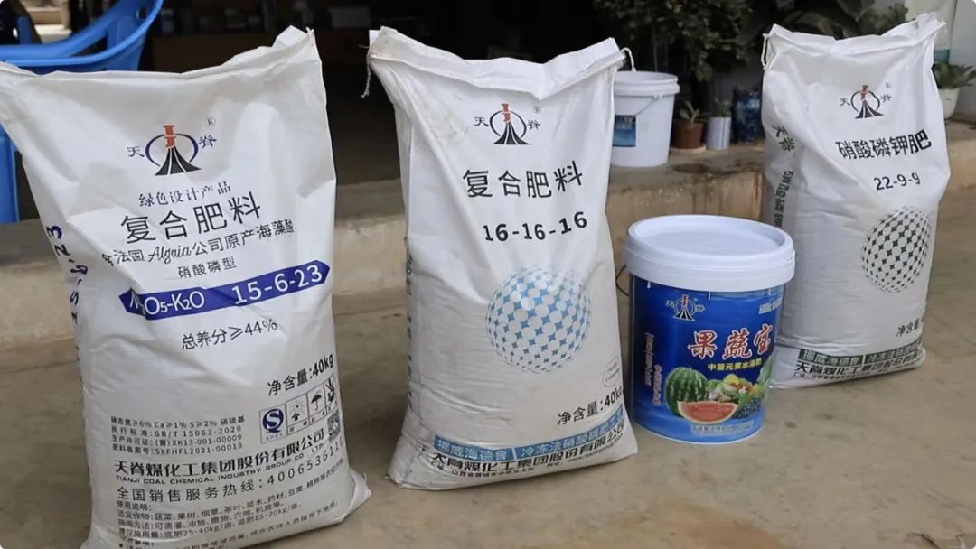 天脊田间故事新肥助力云南石屏县西红柿增值