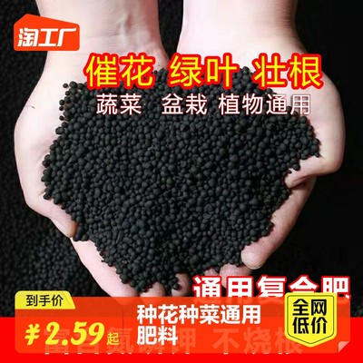 当前网购流行产品