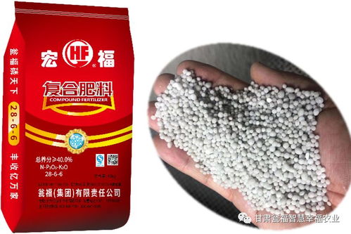 意外走红 如实说