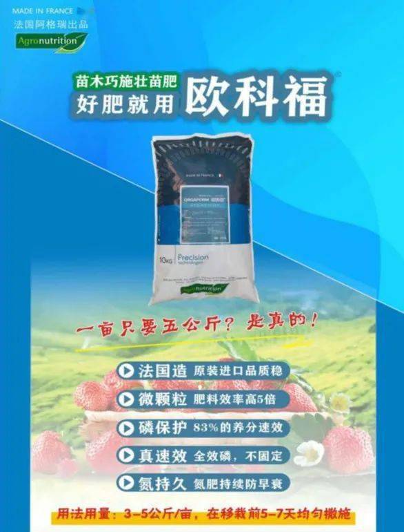 草莓想要好,欧科福错不了