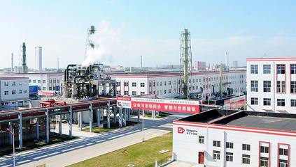 金正大生态工程集团 引领复合肥行业创新发展