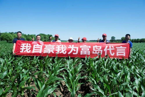 海油富岛得人心 打造丰收好帮手复合肥