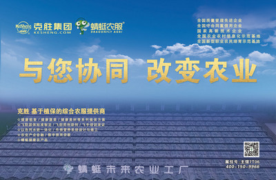 江苏复合肥市场 供需平衡与创新营销双轮驱动