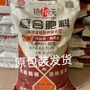 驻施可丰工作组5月10日工作日志 复合肥生产与市场动态分析